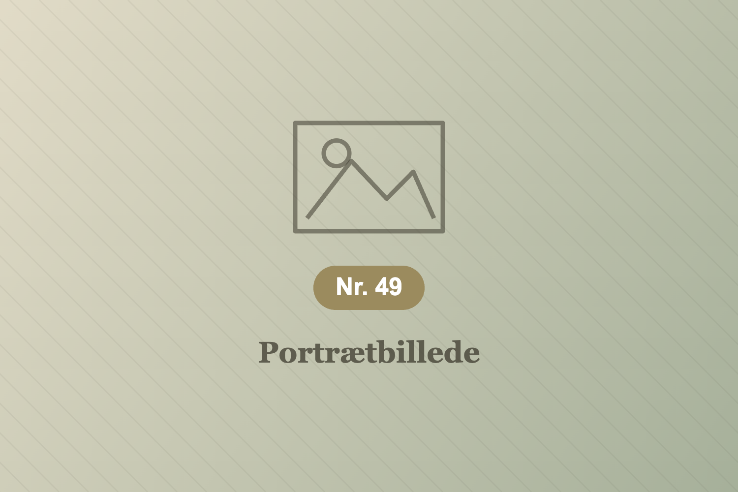 Pladsholder-billede