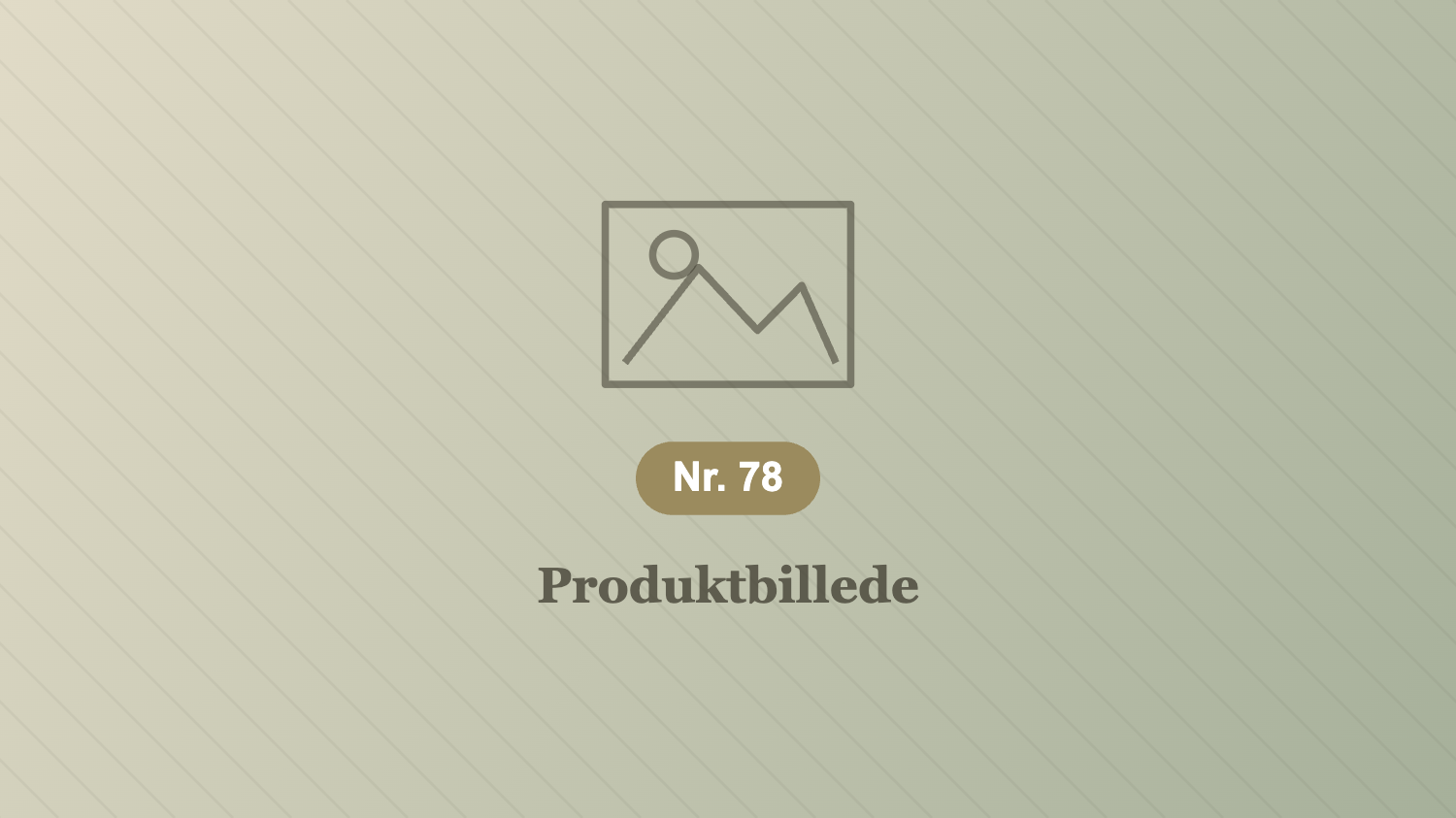 Pladsholder-billede